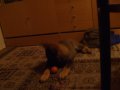 IMGP3467.JPG